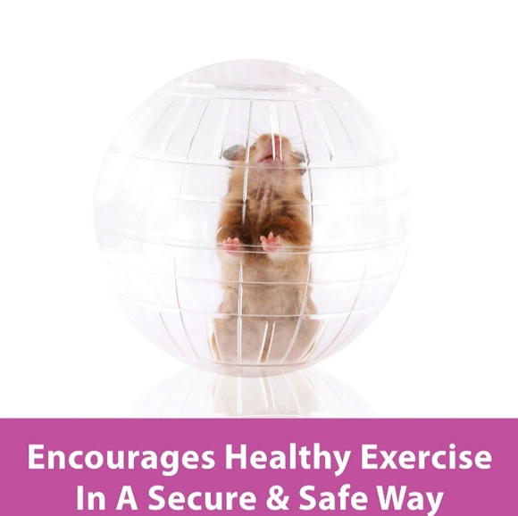 Kaytee Mega Run-About Ball Rodent Exercise Small Pet Rat Chinchilla 13" Hamtrac - Picture 4 of 7